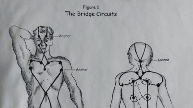 How Does Kinesiology Enhance Management?
